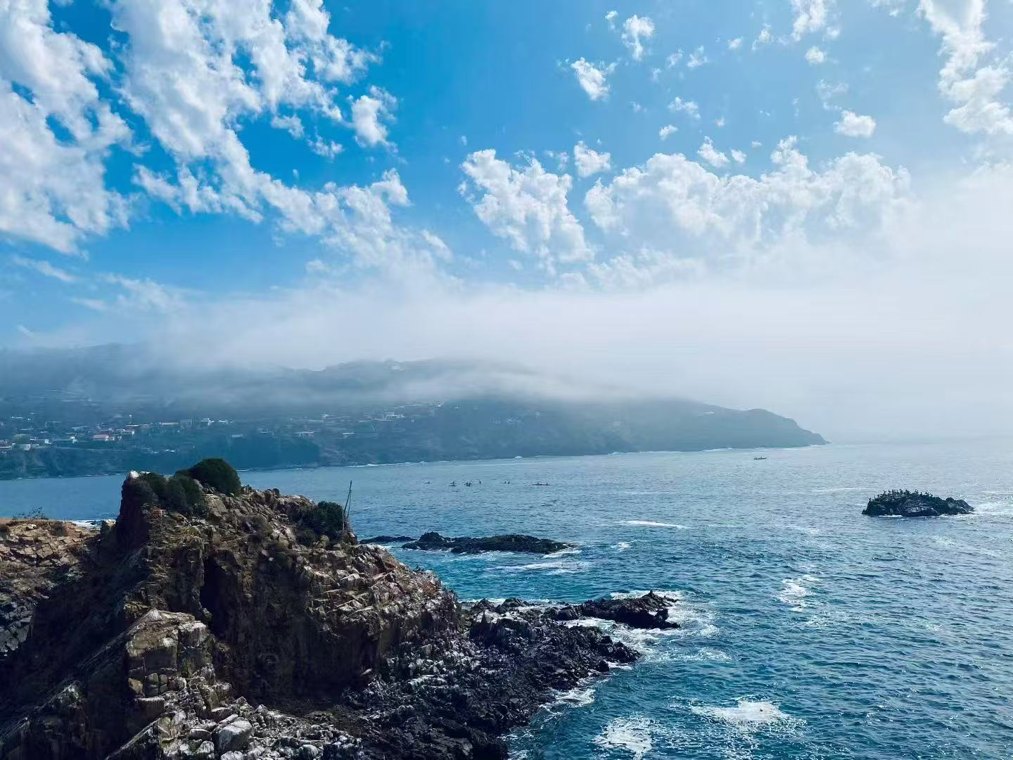 谷歌启动巨额融资计划，巴菲特接班人为何选择高位大举加仓